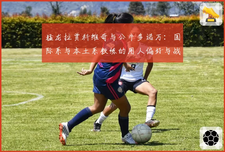 猛龙拉贾科维奇与公牛多诺万：国际系与本土系教练的用人偏好与战绩波动